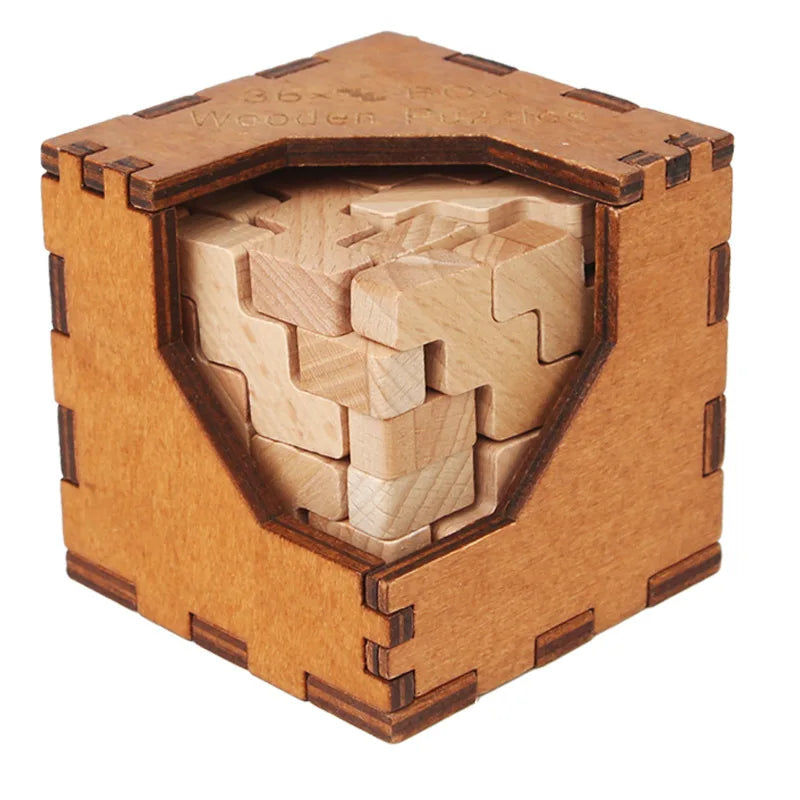 Wooden Brain Teaser
